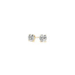 1/2 cttw Lab Grown Round Diamond Stud Earrings 14k Yellow Gold (G/VS2) - Earrings - Custom Crafting Alliance, LLC