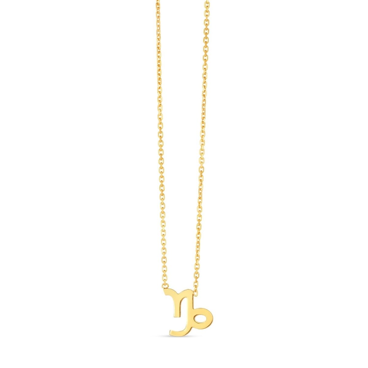 14K Yellow Gold Capricorn Necklace - Necklaces - Custom Crafting Alliance, LLC