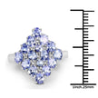 2.72 Carat Genuine Tanzanite .925 Sterling Silver Ring