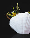 3D - Printed Shell Vase – Elegant Coastal - Inspired Home Decor - Vase - Custom Crafting Alliance, LLC