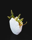 3D - Printed Shell Vase – Elegant Coastal - Inspired Home Decor - Vase - Custom Crafting Alliance, LLC