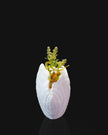 3D - Printed Shell Vase – Elegant Coastal - Inspired Home Decor - Vase - Custom Crafting Alliance, LLC