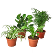Pet Friendly Variety Bundle