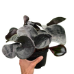 Geogenanthus 'Ciliatus' | Glossy Dark Foliage Tropical Plant | House Plant Shop