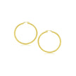 14k Yellow Gold Polished Hoop Earrings (2- mm)
