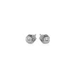 14k White Gold Spherical Stud Earrings (3.0 mm)
