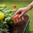 Organic Soil & Root Boost | Mycorrhizae & Beneficial Microbes | House Plant Shop