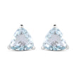 1.26 Carat Genuine Aquamarine .925 Sterling Silver Earrings