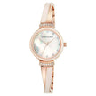 Anne Klein Women's Classic - Watches - Custom Crafting Alliance, LLC