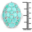 5.48 Carat Genuine Emerald .925 Sterling Silver Ring