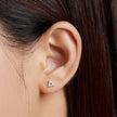 925 Sterling Silver & Plated Gold CZ Earrings for Women