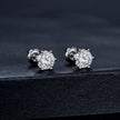 925 Sterling Silver Moissanite Earrings for Women