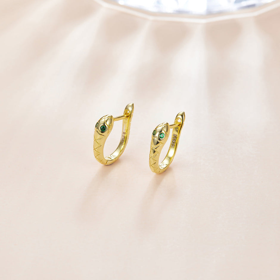 925 Sterling Silver Plated Platinum CZ Earrings for Women