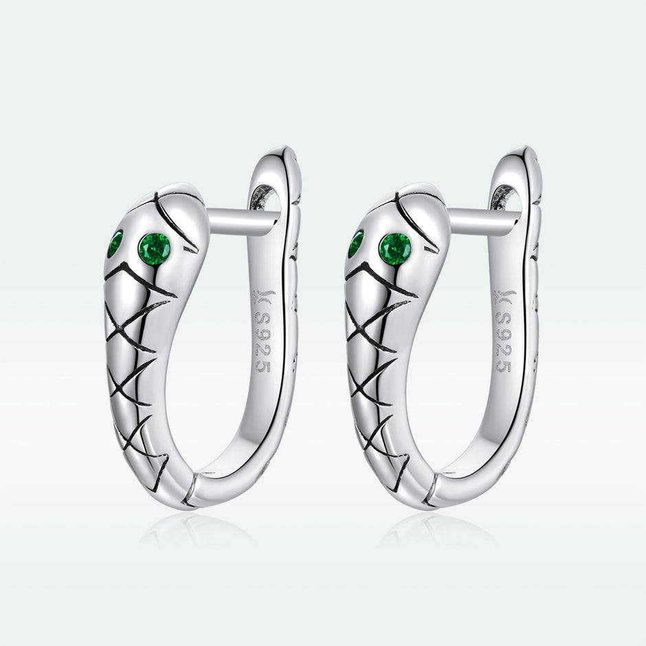 925 Sterling Silver Plated Platinum CZ Earrings for Women