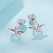 925 Sterling Silver Earrings for Women