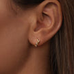 925 Sterling Silver White Gold Plated Earrings