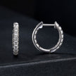 925 Sterling Silver 0.023 Carat Moissanite Earrings for Women