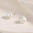 925 Sterling Silver White Gold Plated Freshwater Pearl Earrings