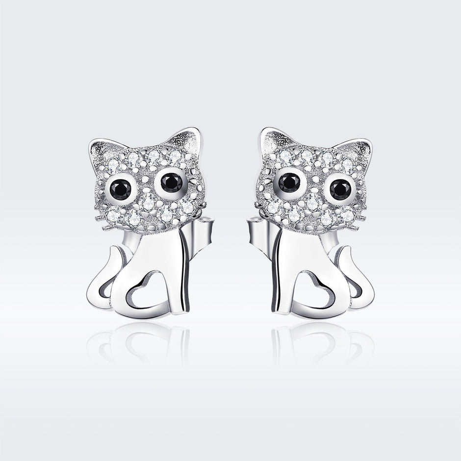 S925 Sterling Silver Earrings for Women