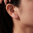 925 Silver White Gold Plated 1.4cm Brass Earrings for Women