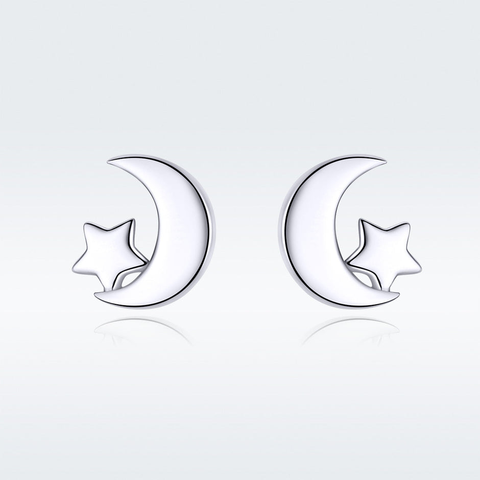S925 Sterling Silver Earrings for Women