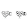 925 Sterling Silver Earrings with Pavé Setting CZ