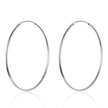 S925 Sterling Silver Earrings for Women