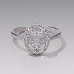 925 Sterling Silver Pavé Setting CZ White Gold Plated Ring with Transparent Glass for Women