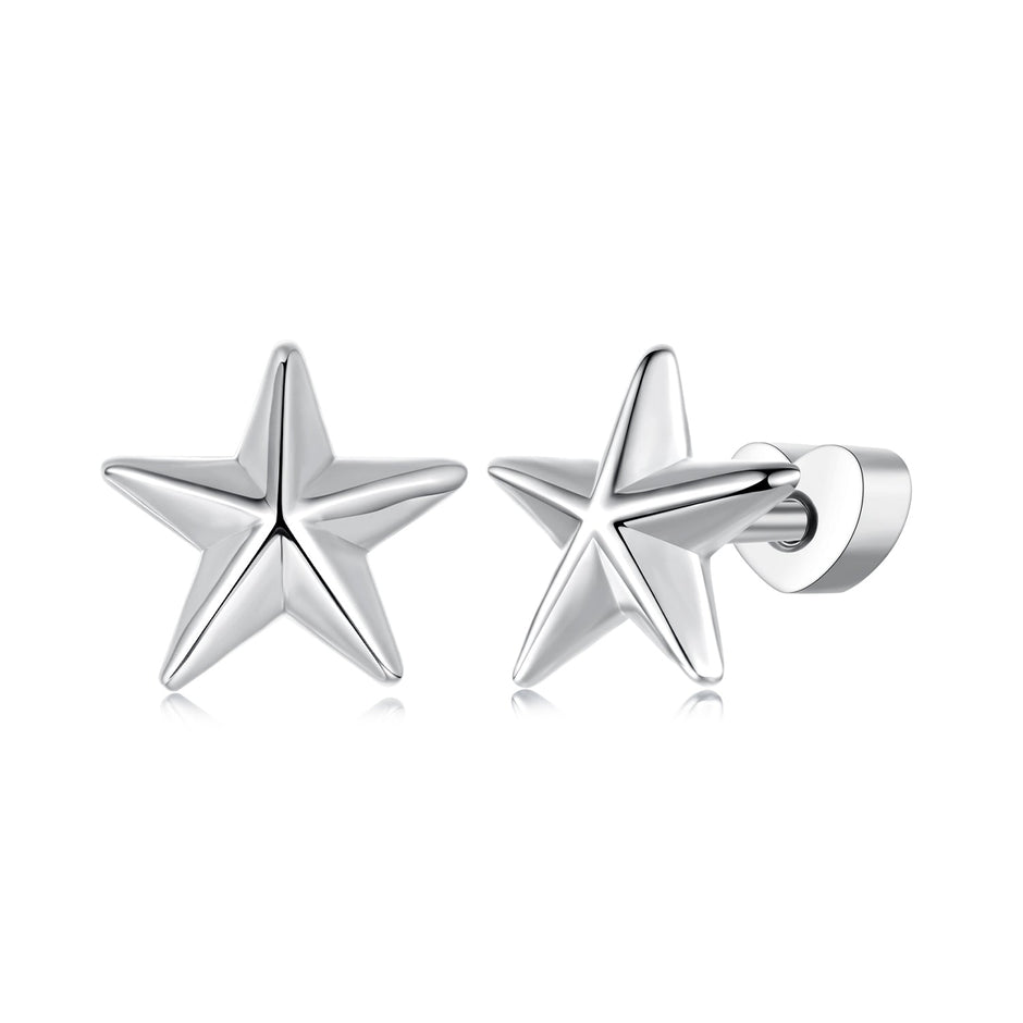 925 Sterling Silver Earrings for Women