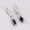 1.20 Carat Genuine Blue Sapphire 10K White Gold Earrings