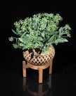 Geometric Elegance Vase with Stand – 3D - Printed Modern Home Decor - Vase - Custom Crafting Alliance, LLC