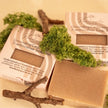 Grounding Cedarwood Frankincense Soap Bar - Bar Soap - Custom Crafting Alliance, LLC