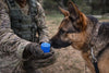 Dog Nose Work Pod, Ventilated K9 Detection Training Aid, 2 Inch Round x 1.5 Inch Tall