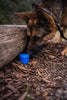 Dog Nose Work Pod, Ventilated K9 Detection Training Aid, 2 Inch Round x 1.5 Inch Tall
