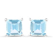 2.50 Carat Genuine Blue Topaz .925 Sterling Silver Earrings