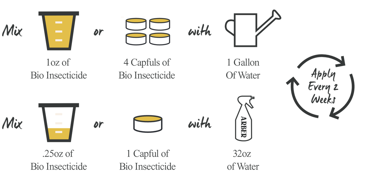Organic Bio Insecticide | Natural Pest Control for Plants | House Plant Shop