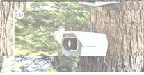 PerchCam Birdhouse – Realistic Security Camera Style Bird House for Modern Outdoor Decor - Custom Crafting Alliance, LLC