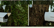 PerchCam Birdhouse – Realistic Security Camera Style Bird House for Modern Outdoor Decor - Custom Crafting Alliance, LLC
