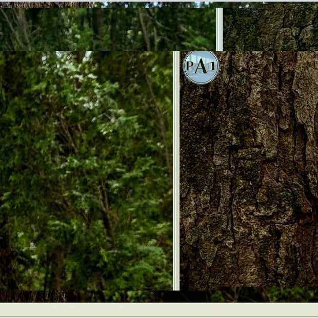 PerchCam Birdhouse – Realistic Security Camera Style Bird House for Modern Outdoor Decor - Custom Crafting Alliance, LLC