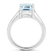 2.64 Carat Genuine Blue Topaz and White Topaz .925 Sterling Silver Ring
