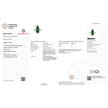 IGI Certified 5.00 Carat Genuine Zambian Emerald and White Diamond 14K Yellow Gold Ring