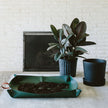 Repotting Mat | Durable Eco-Friendly Plant Care Mat | House Plant Shop