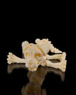 Skeletal Pooch – 3D - Printed Articulated Dog Skeleton Figurine - Figurines - Custom Crafting Alliance, LLC
