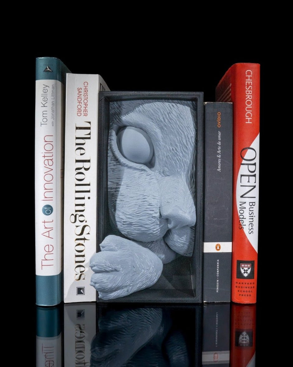 Various Creepy Book Nooks - Book Nook - Custom Crafting Alliance, LLC