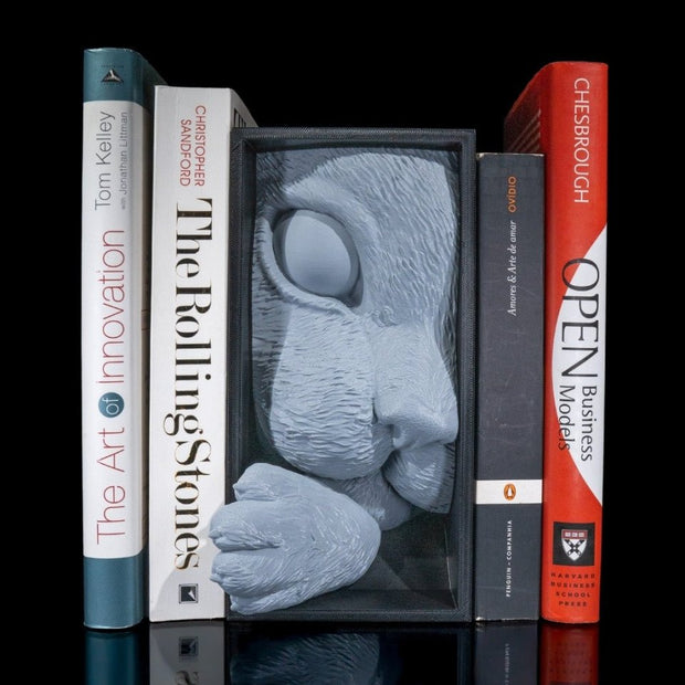 Various Creepy Book Nooks - Book Nook - Custom Crafting Alliance, LLC